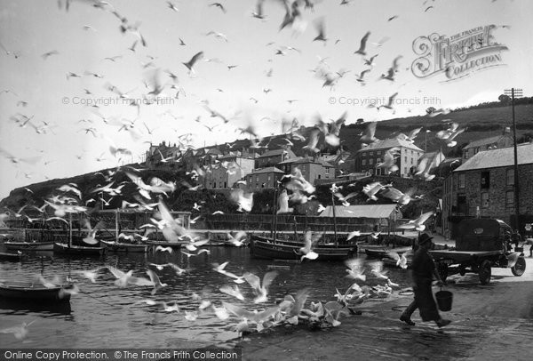 Photo of Mevagissey, Gulls 1930