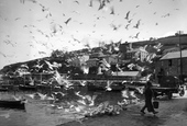 Gulls 1930, Mevagissey