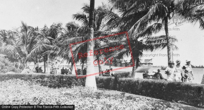 Photo of Miami, Bayfront Park, Winter Scene c.1930