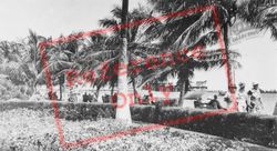Bayfront Park, Winter Scene c.1930, Miami