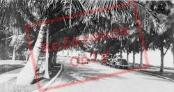Bayshore Drive c.1930, Miami