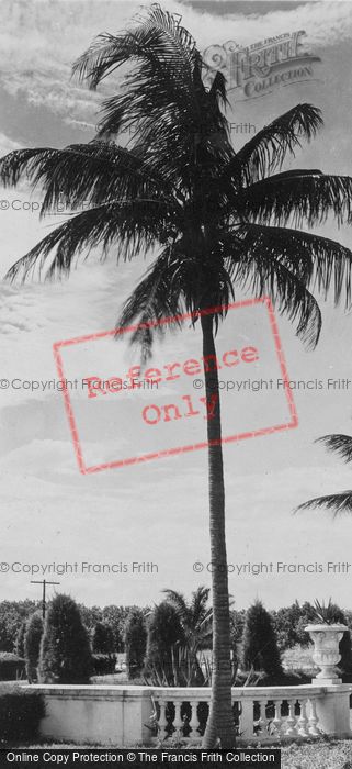 Photo of Miami, Evening Sky c.1930
