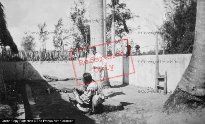 Photo of Miami, Musa Isle, Alligator Wrestler c.1935