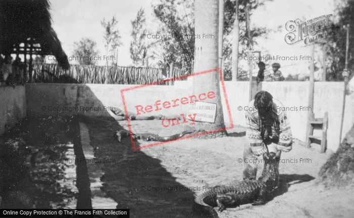 Photo of Miami, Musa Isle, Alligator Wrestler c.1935