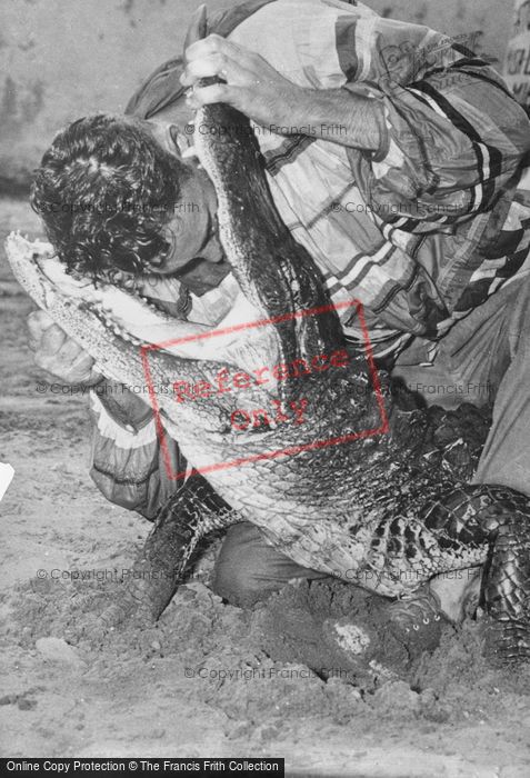 Photo of Miami, Musa Isle, Seminole Alligator Farm c.1935