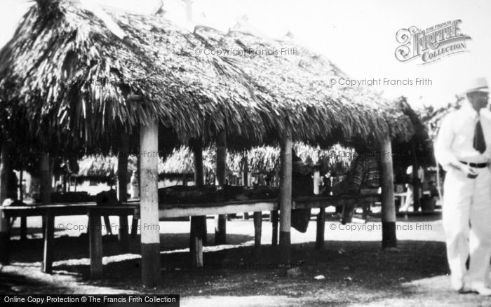 Photo of Miami, Musa Isle, Seminole Chickee c.1935