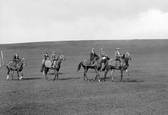 Race Horses On The Moor 1914, Middleham