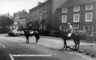 Racehorses At Exercise c.1965, Middleham