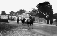 Racehorses At Exercise c.1965, Middleham