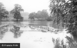 Benbow Pond c.1965, Midhurst