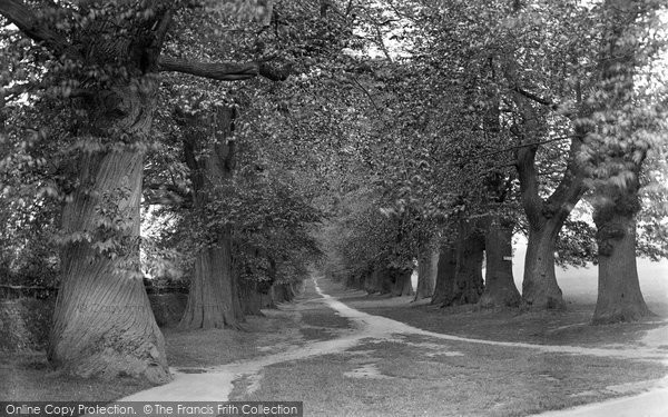 Photo of Midhurst, Chestnut Avenue, Cowdray Avenue 1923