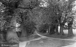 Chestnut Avenue, Cowdray Avenue 1923, Midhurst