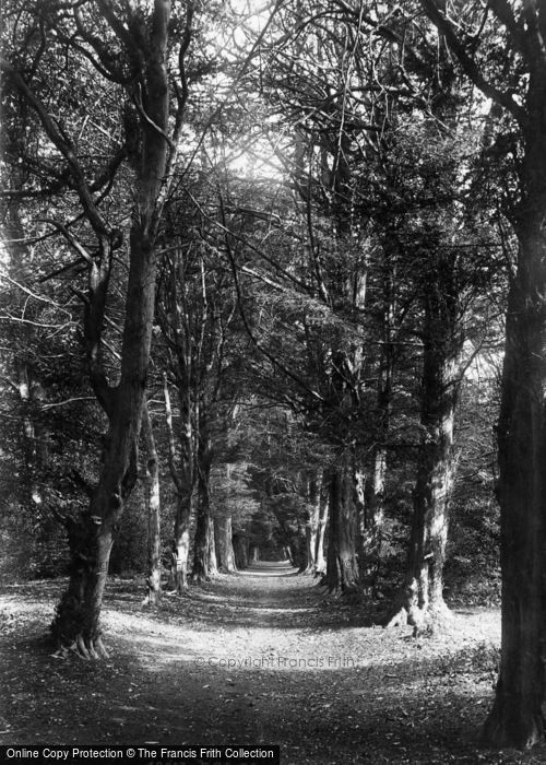 Photo of Midhurst, Close Walks 1898