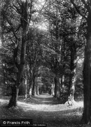 Close Walks 1898, Midhurst