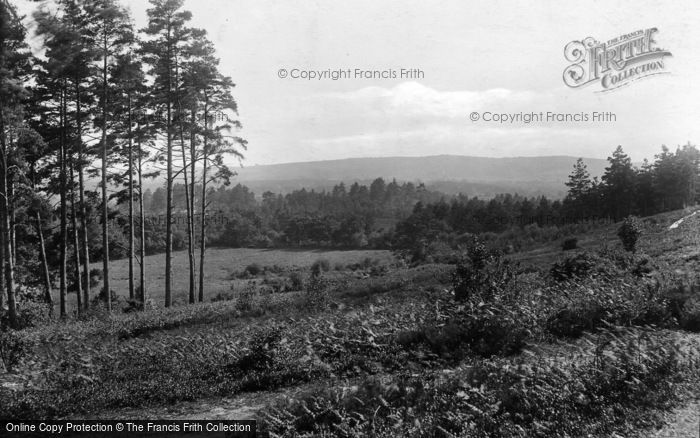 Photo of Midhurst, Common And South Downs 1925