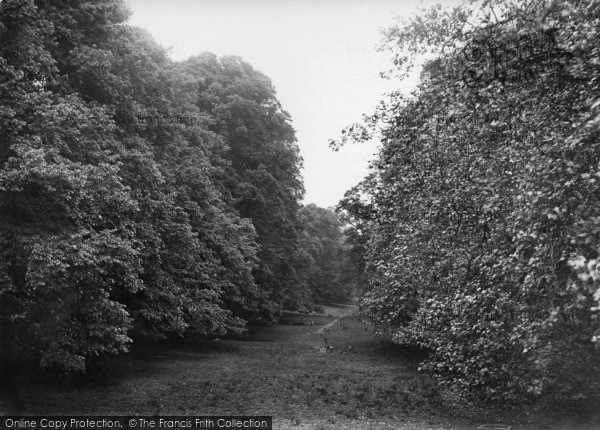 Photo of Midhurst, Cowdray Park, Lime Tree Bottom 1921