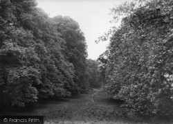 Cowdray Park, Lime Tree Bottom 1921, Midhurst