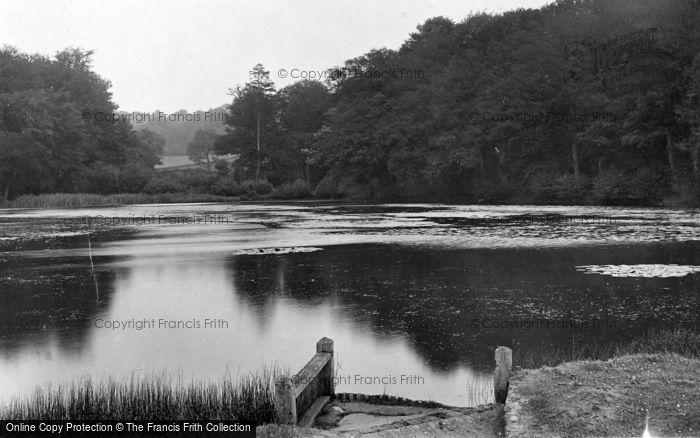 Photo of Midhurst, Cowdray Park, Steward's Pond 1921