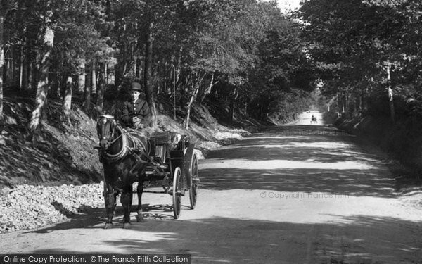 Photo of Midhurst, Horse And Carriage 1907