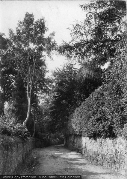 Photo of Midhurst, June Lane 1907