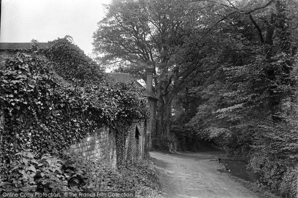Photo of Midhurst, June Lane 1921