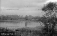 New Pond 1921, Midhurst
