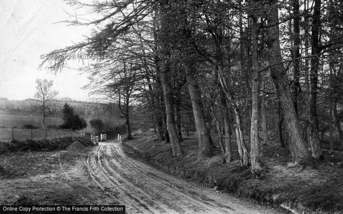 Photo of Midhurst, Road To Sanatorium 1906
