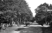Road To The Sanatorium 1907, Midhurst