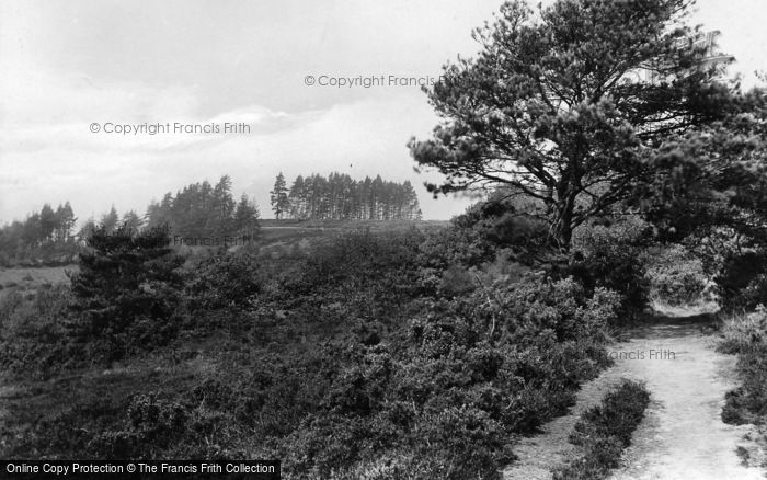 Photo of Midhurst, The Common 1921