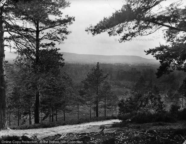 Photo of Midhurst, The South Downs From The Common 1925
