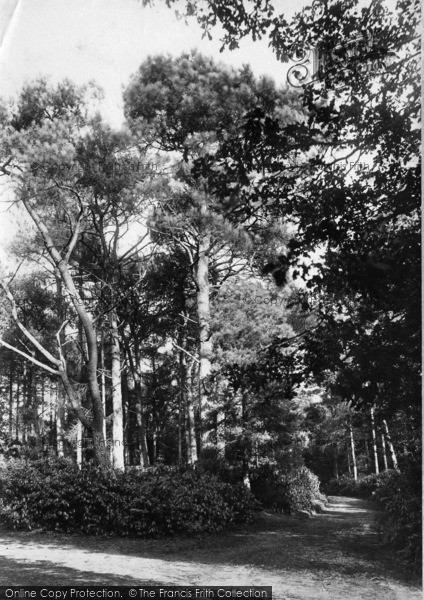 Photo of Midhurst, View In The Severalls 1898