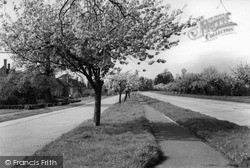 Cherry Tree Road c.1955, Milford