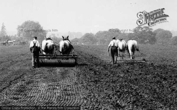Photo of Milford, Farmhorses At Work c.1955