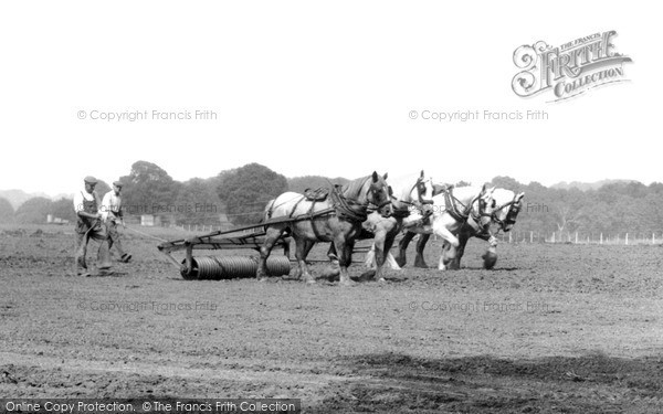 Photo of Milford, Farming With Horses c.1955