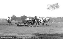 Farming With Horses c.1955, Milford