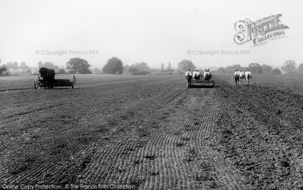 Photo of Milford, Farming With Horses c.1955