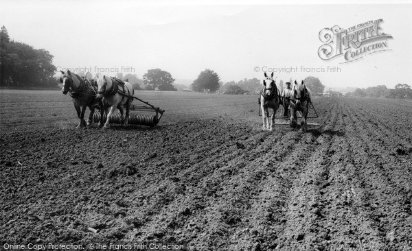 Photo of Milford, Farming With Horses c.1955