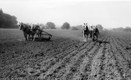 Farming With Horses c.1955, Milford