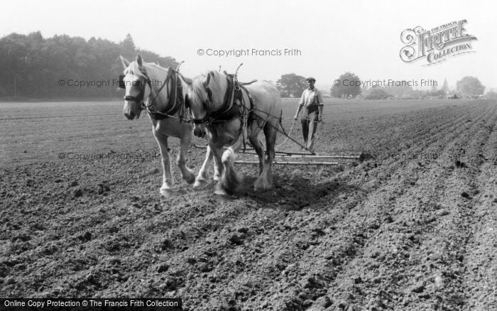 Photo of Milford, Farming With Horses c.1955