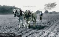 Farming With Horses c.1955, Milford