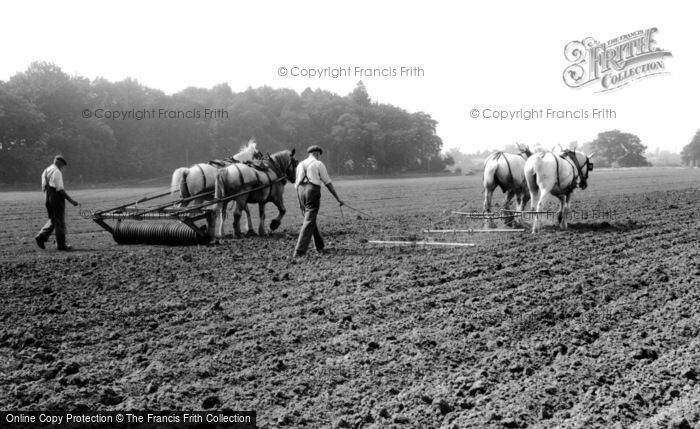 Photo of Milford, Farming With Horses c.1955