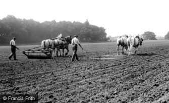 Milford, Farming with Horses c1955
