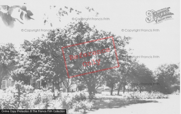 Photo of Milford Haven, Rose Gardens c.1960