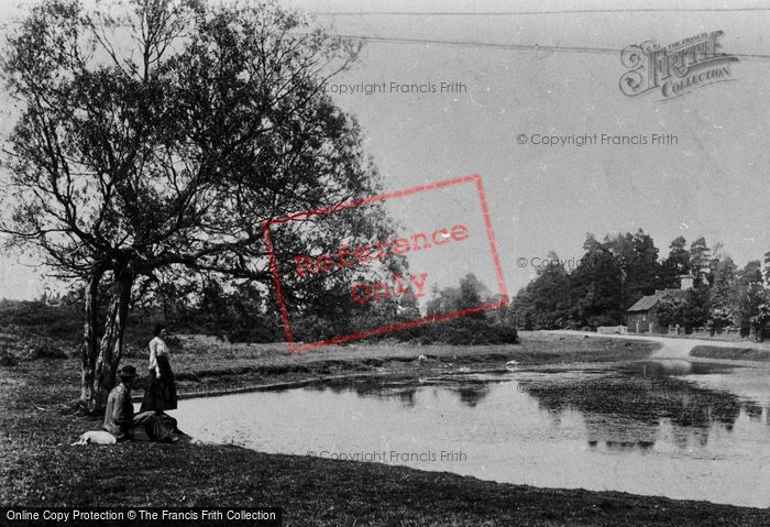 Photo of Milford, Heath 1906