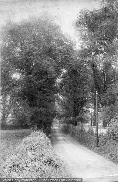 Photo of Milford, Lane To Eashing 1907