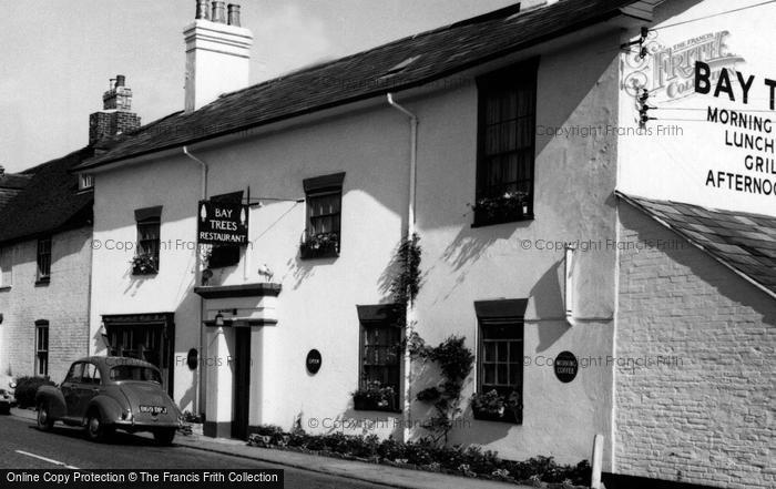 Photo of Milford On Sea, Bay Trees c.1960