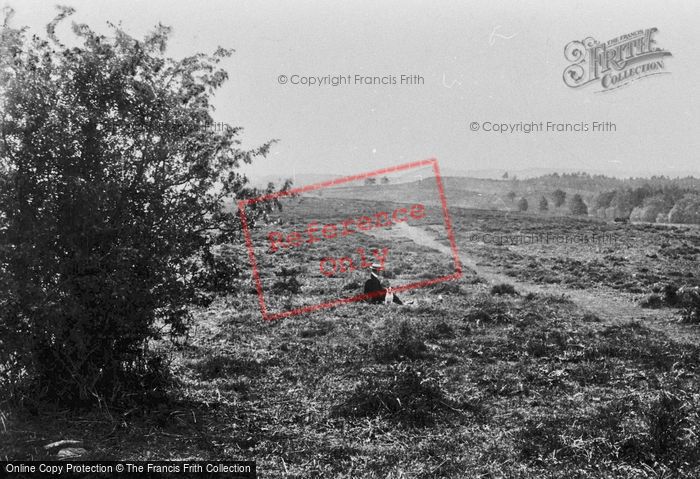 Photo of Milford, The Common 1908