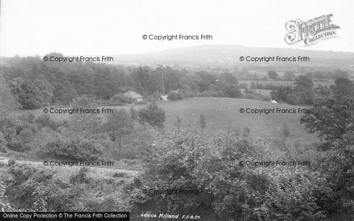 Photo of Milland, General View From Rake 1901