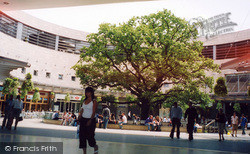 Old Oak Tree In New Midsummer Place 2005, Milton Keynes
