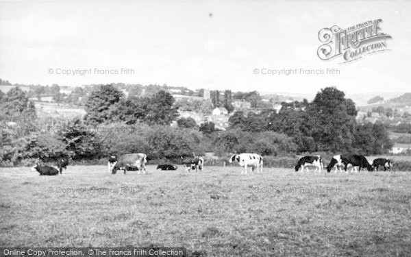 Photo of Milverton, General View c.1955